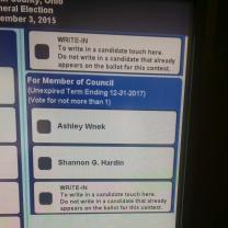 Screenshot of ballot