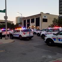 Lots of police cars
