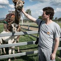 Young white man reaching over a white fence to scratch the chin of a camel with a little baby camel beside it
