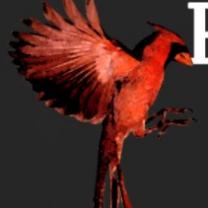 Cardinal