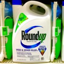 White bottle on a shelf with word Roundup on it