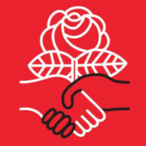 DSA logo