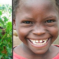 Young Haitian girl