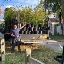 Man posing in front of trees