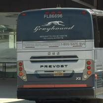 Greyhound bus