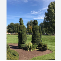 Topiary park