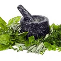 Black mortar and pestle with greenery around it