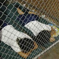 Two people on their faces on the ground behind a chainlink fence