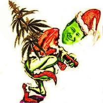 John Husted as the grinch holding a marijuana tree