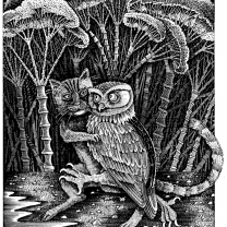 Owl