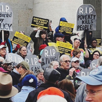 Protest
