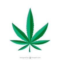 Green marijuana leaf