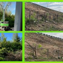 Photos of trees land and then without trees