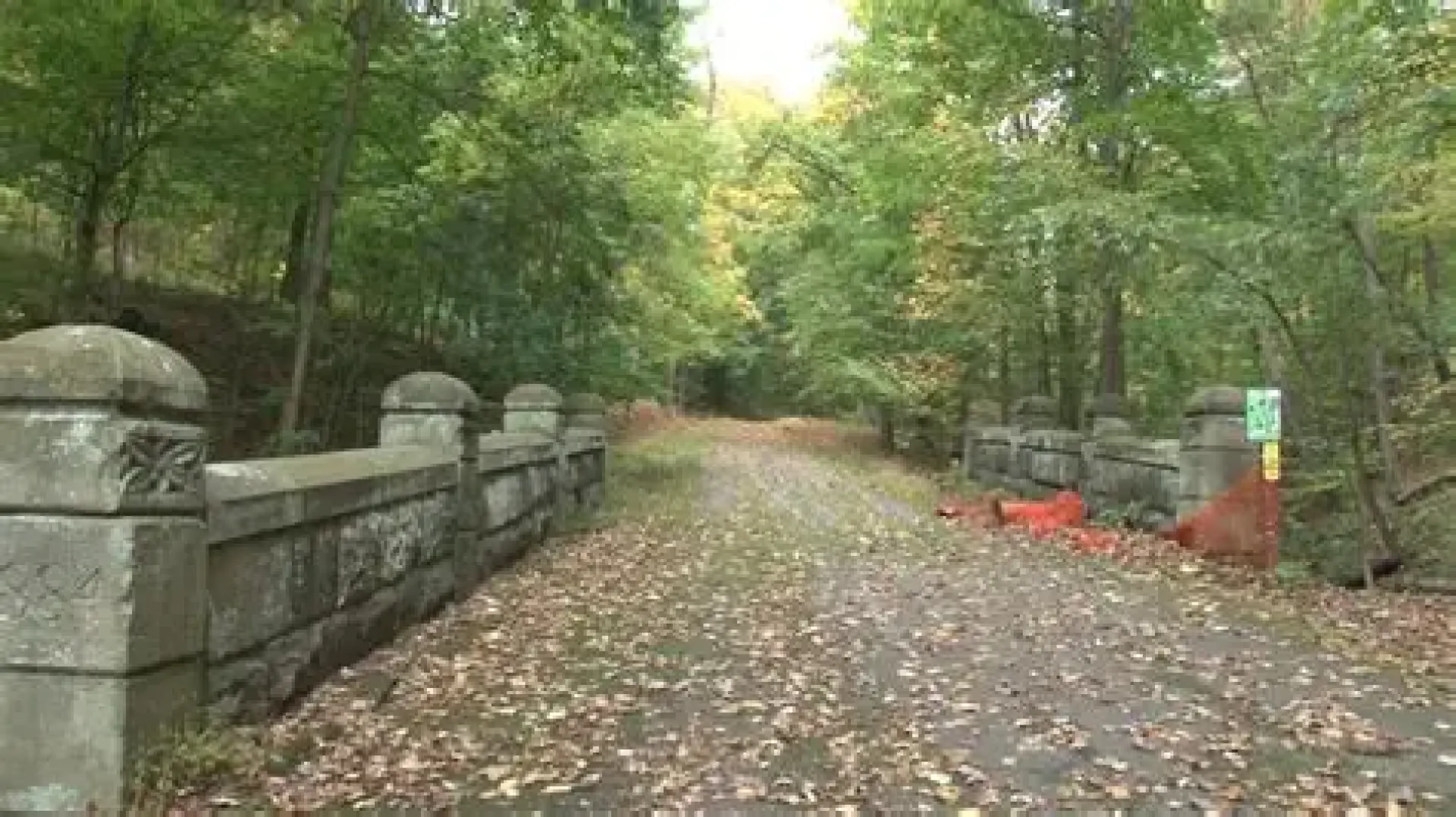 A green park