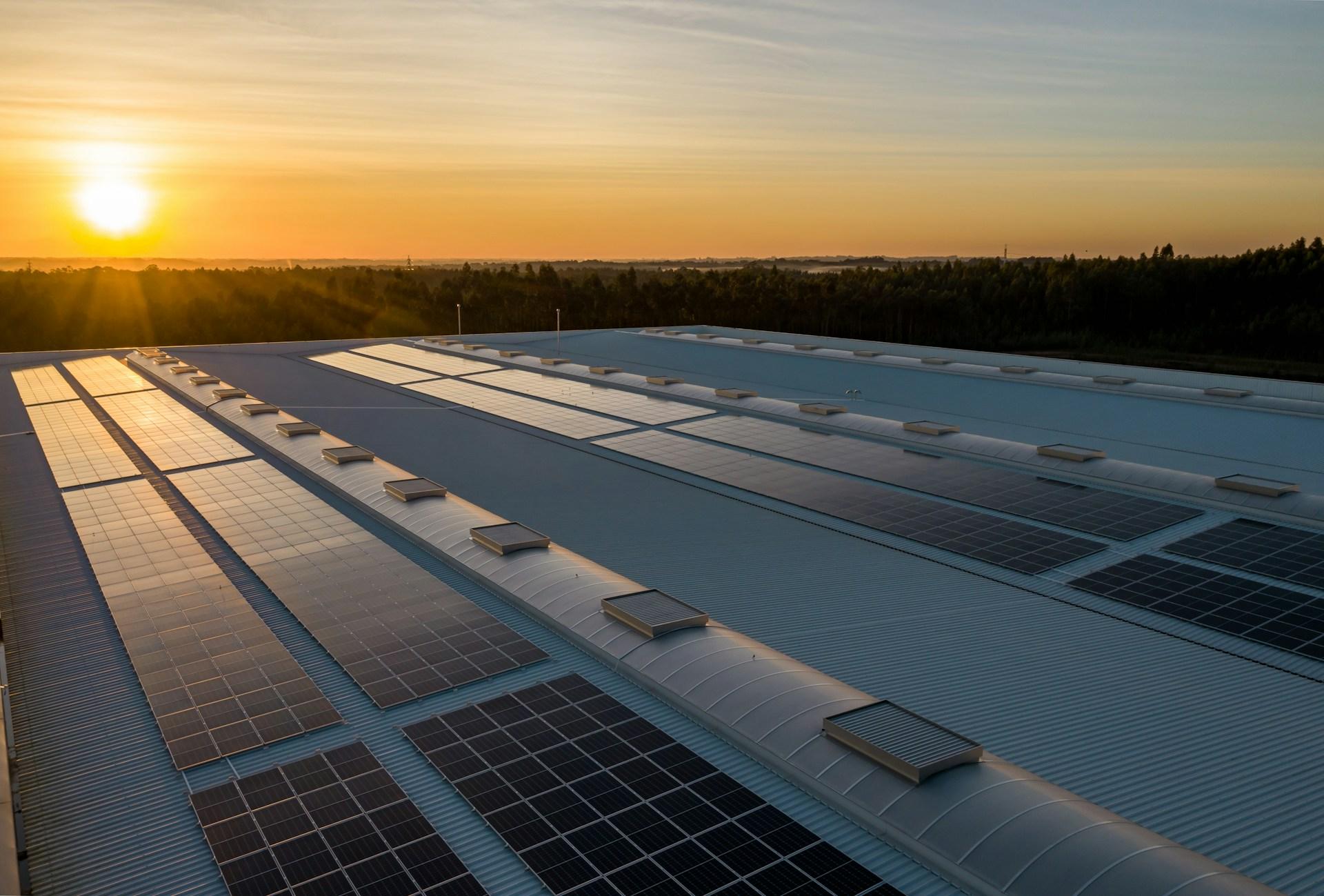 Sunrise on Solar Field