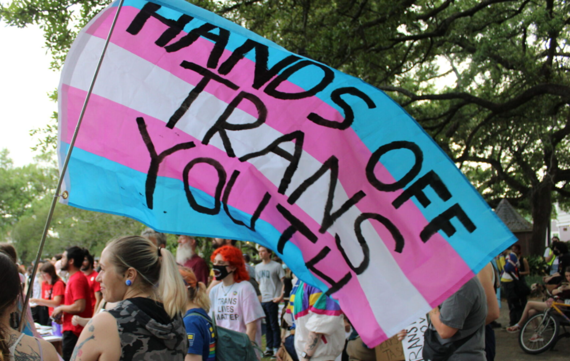 Pink, blue and whie Trans Rights flag