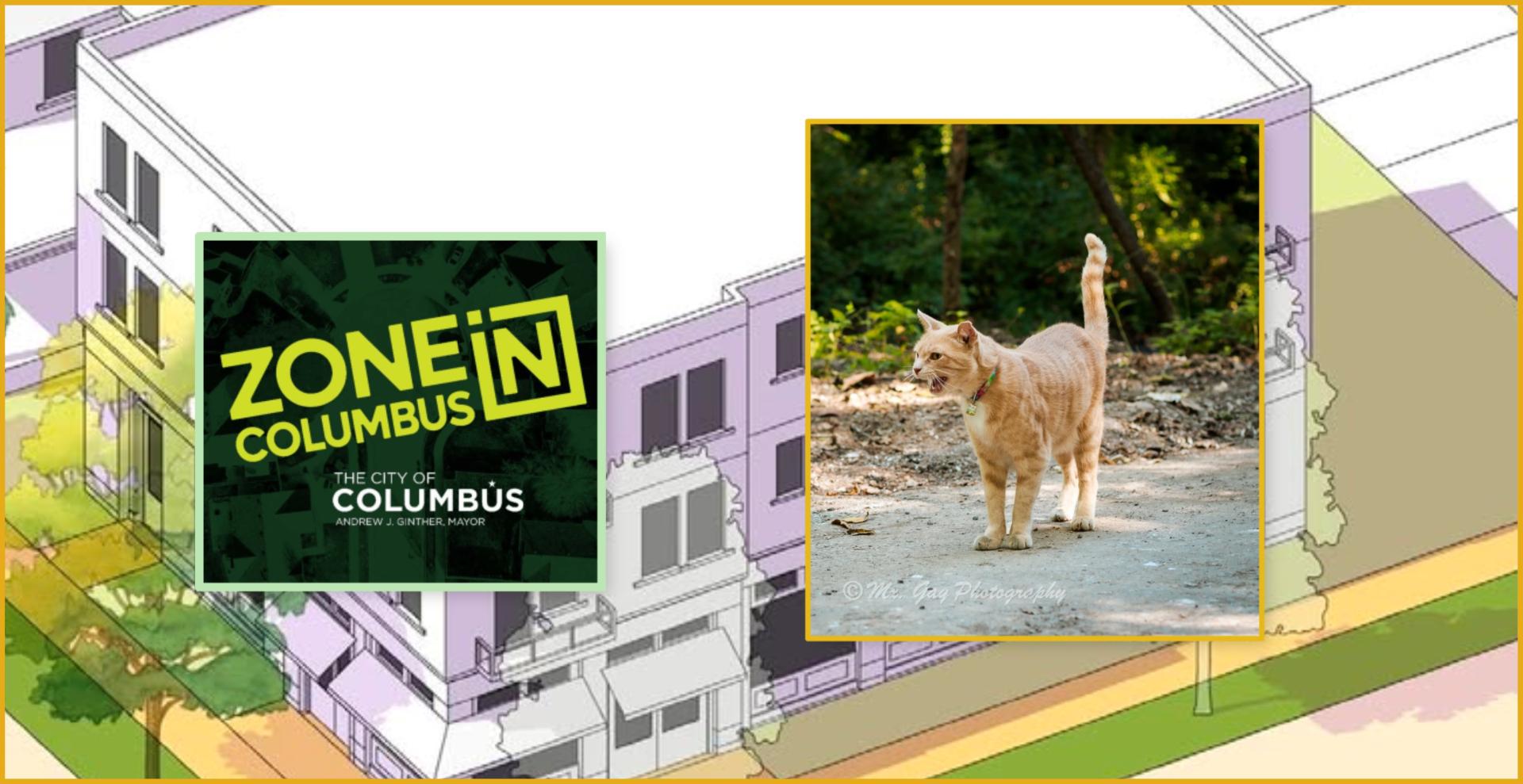 ZoneIn poster and cat